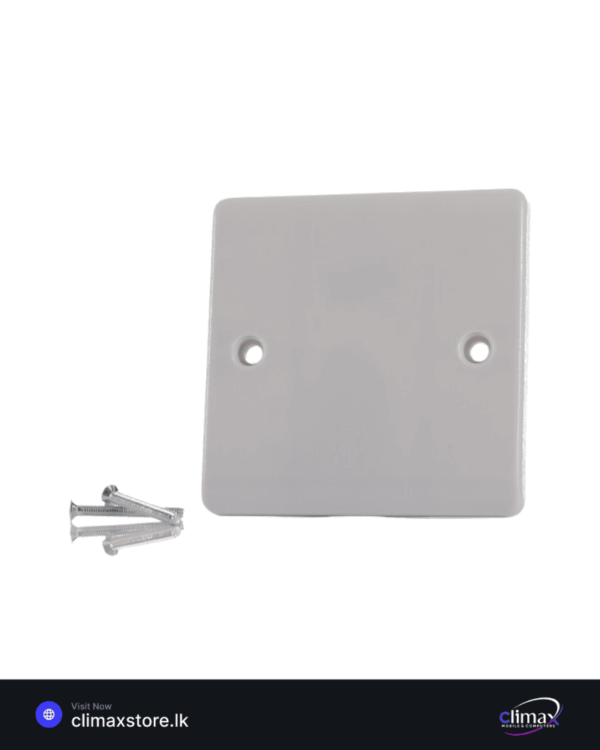 blank plate